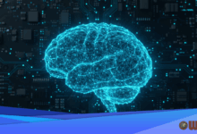 Early Psychosis Study Links Brain Connectivity to Cognition